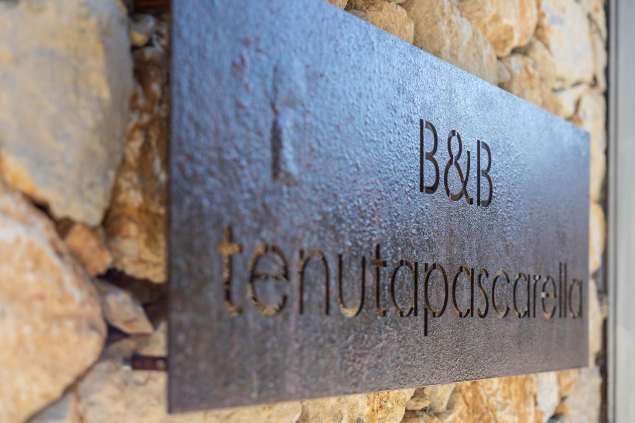 Tenuta Pascarella Bed & Breakfast Frasso Telesino 외부 사진